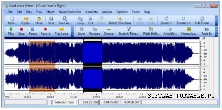 Gold Wave Editor Pro 10.5.2 Portable