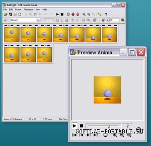 GIF Movie Gear 4.2.1 Portable