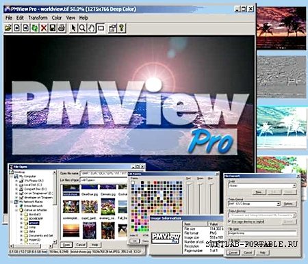 Portable PMView Pro v3.60
