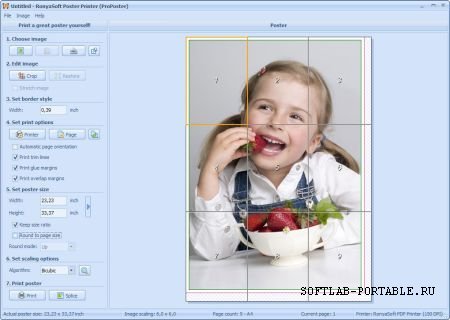RonyaSoft Poster Printer 3.2.22 Portable